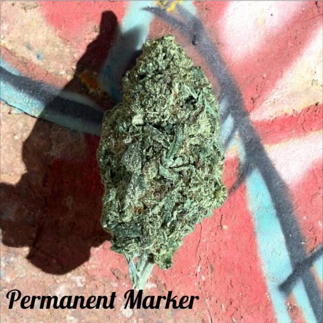 Permanent Marker