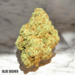 Blue Gusher
