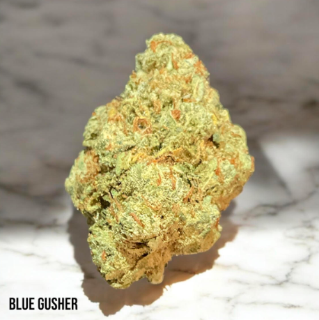 Blue Gusher