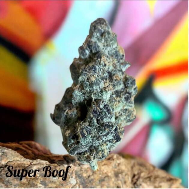 Super Boof